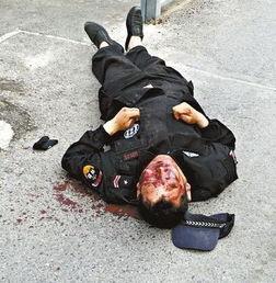 保安停资料,揭秘保安行业的新趋势与挑战  第3张