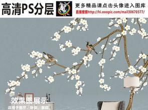 白梅的背景,傲骨寒香，千年风华的传承者  第2张