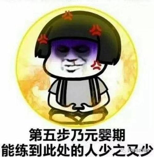 黑梗表情包,网络时代的幽默密码  第2张