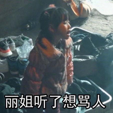 丽姐表情包你再说,网络时代的情感共鸣与社交新风尚  第3张