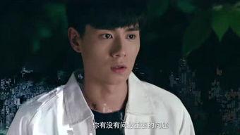 阿追资料,探寻历史足迹，揭秘传奇人生  第2张