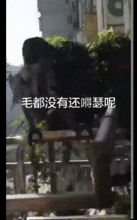 深夜搞笑图,笑出腹肌的瞬间！  第3张