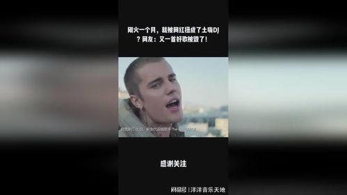 网红歌曲好嗨呦,好嗨呦！揭秘网红神曲背后的魅力与影响力  第3张