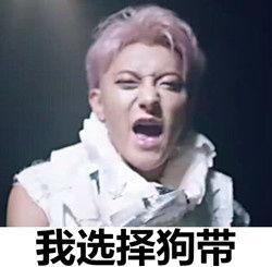 韬韬表情包,网络时代的表情符号新宠