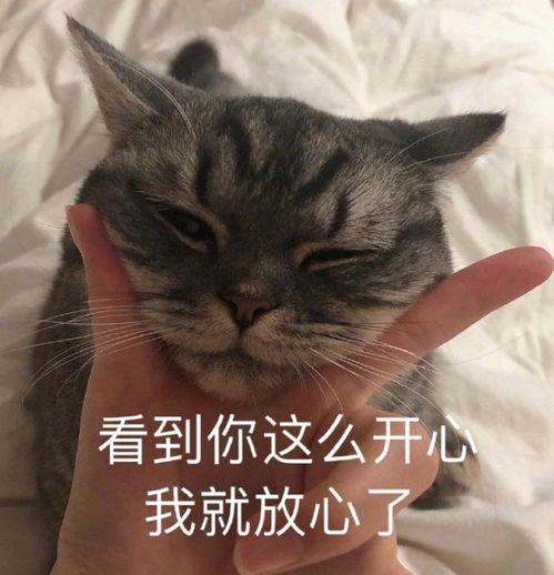 你是什么货色 表情包,揭秘“我是什么货色”表情包背后的趣味与内涵